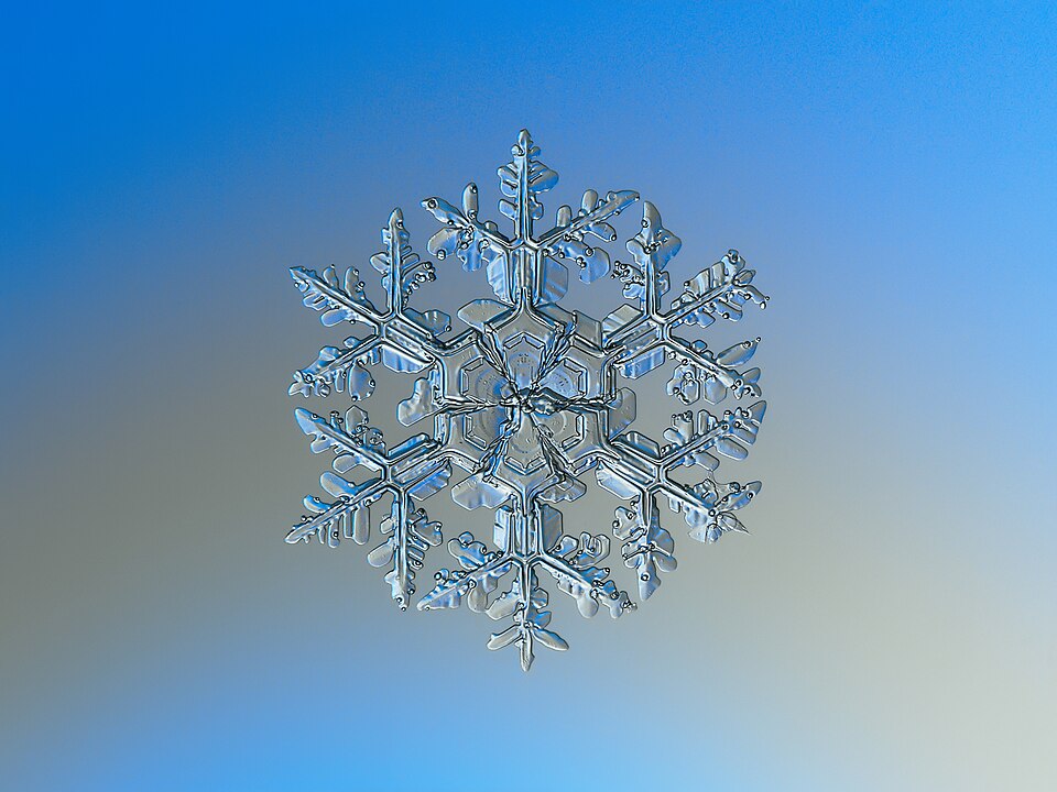 Macro photograph of a snowflake showing six-fold hexagonal symmetry